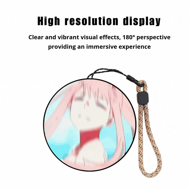 Customizable Video Sphere