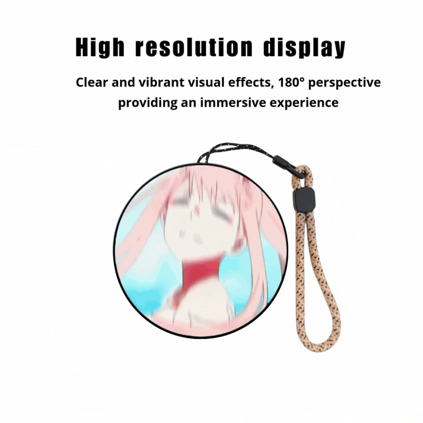 Customizable Video Sphere